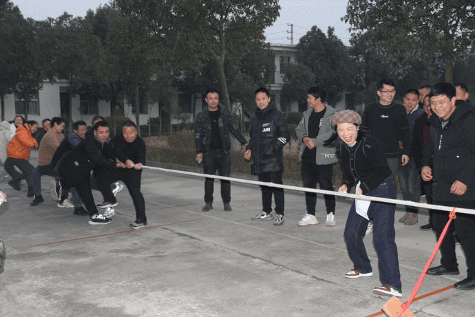 龍馬精神展風采  龍騰虎躍迎新年